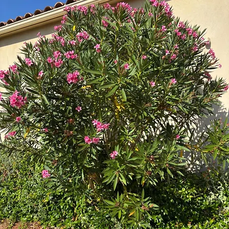 בית נופש Locations I Carboni - 2