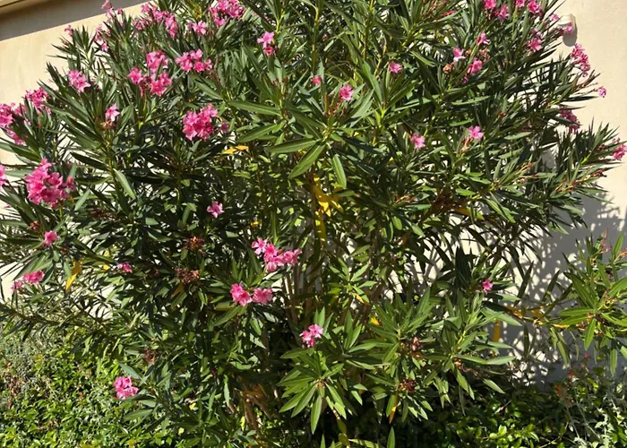 Tatil Evi Locations I Carboni - 2